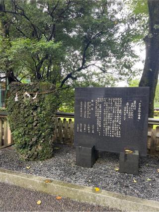 行満堂神霊殿(椿大神社)の参拝記録(⛩️🐍🐢まめ🐢🐍⛩️さん)