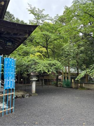 行満堂神霊殿(椿大神社内)の参拝記録(⛩️🎠🐢まめ🐢🎠⛩️さん)