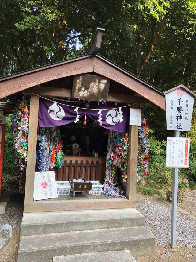 栃木県下野市薬師寺1509 千勝神社の写真1