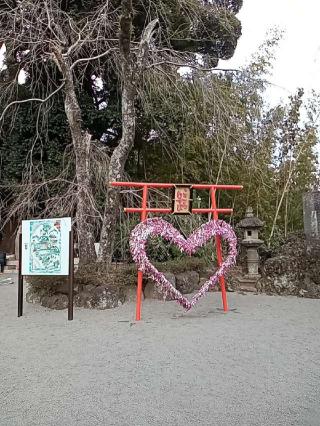 伊豆山神社本宮社の参拝記録(R子さん)