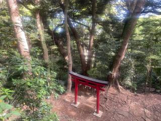 白山神社の参拝記録(ハコさん)