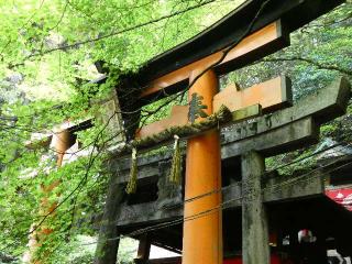 眼力社（伏見稲荷大社）の参拝記録(監督まっちゃんさん)