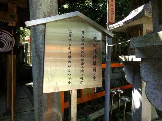 荷田社（伏見稲荷大社）の参拝記録(監督まっちゃんさん)