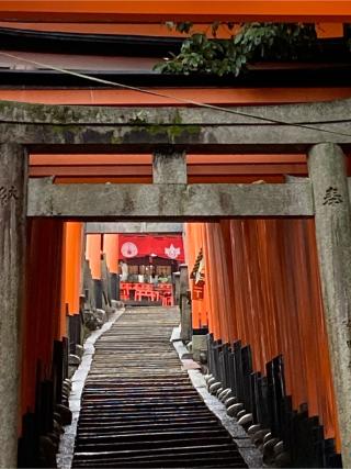 荒神峰　田中社（権太夫大神）の参拝記録(恭子さん)