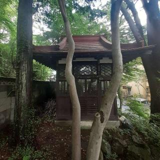 温泉神社の参拝記録(三毛猫さん)