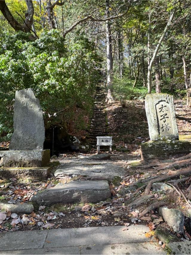 二十三夜塔・太子塔（那須温泉神社境内）の参拝記録1