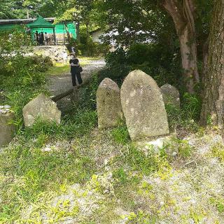 馬櫪神・生馬大神・馬頭観世音・鱒供養塔の参拝記録(三毛猫さん)