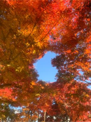 楊谷寺 地蔵堂の参拝記録(danmeiさん)