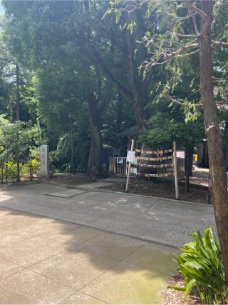 将棋堂(鳩森八幡神社)の参拝記録(⛩️🐍🐢まめ🐢🐍⛩️さん)
