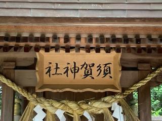 須賀神社(白山神社)の参拝記録(MA-323さん)