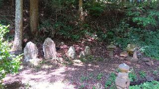 飛龍神社(熊野那智神社境内社)の参拝記録(ひろ神社仏閣さん)