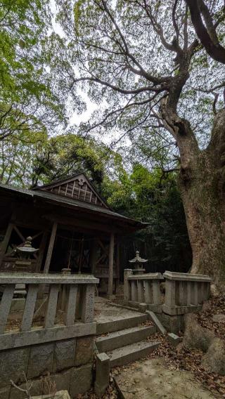 天降神社の参拝記録(こまいぬおさん)