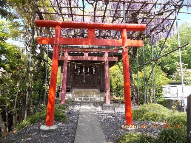 埼玉県所沢市山口1542-5隣 稲荷神社の写真3
