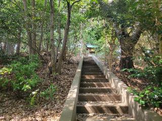 天楠神社の参拝記録(まっきーさん)