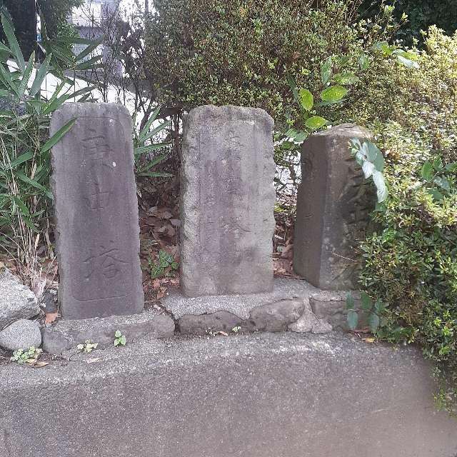 神奈川県厚木市金田１７２ 庚申塔　（境内・天神社横）の写真1