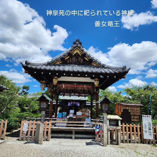 神泉苑善女龍王社の参拝記録3