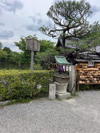 神泉苑天満宮の参拝記録(⛩️🐉🐢まめ🐢🐉⛩️さん)