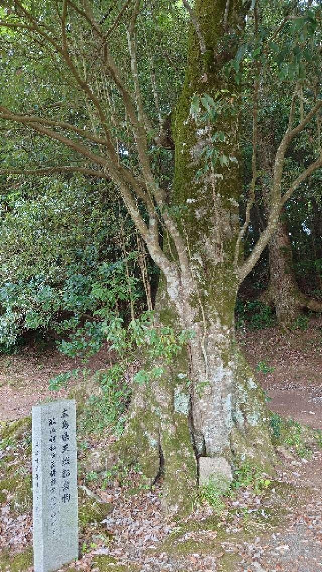 広島県東広島市豊栄町清武787 畝山神社の写真4