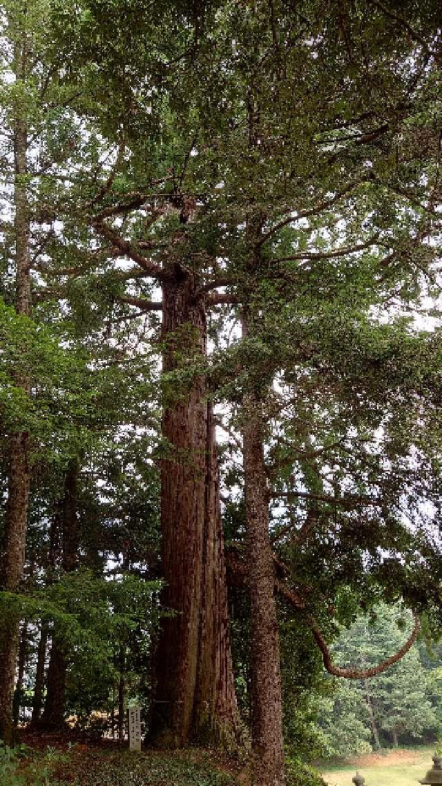 広島県東広島市豊栄町清武787 畝山神社の写真5