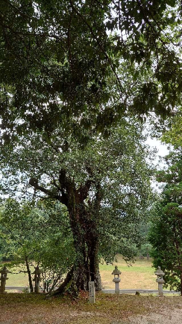 広島県東広島市豊栄町清武787 畝山神社の写真6