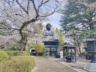 赤塚山 乗蓮寺の参拝記録(さとみさん)