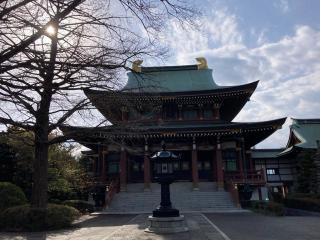 赤塚山 乗蓮寺の参拝記録(バルタさん)