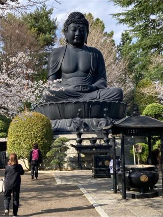 赤塚山 乗蓮寺の参拝記録(バルタさん)