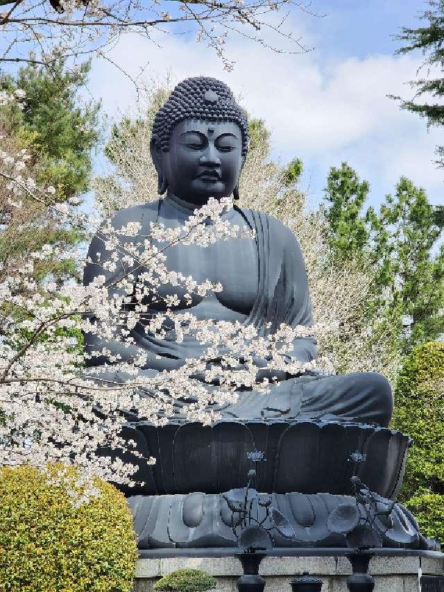 赤塚山 乗蓮寺の参拝記録5