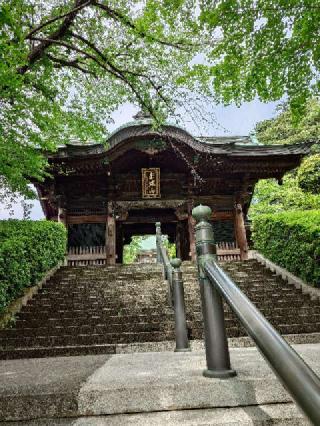 赤塚山 乗蓮寺の参拝記録(気分は上昇さん)