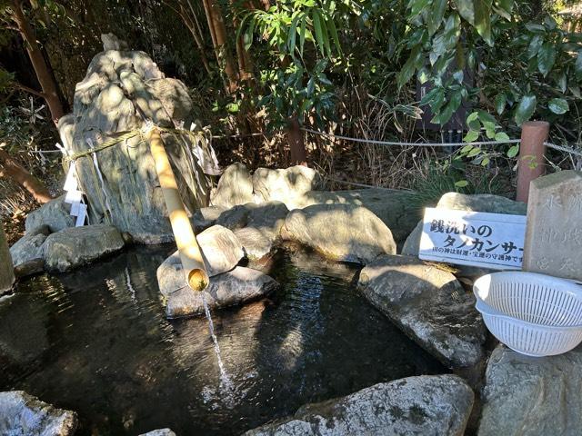 銭洗のタノカンサ―（櫻木神社境内）の参拝記録2