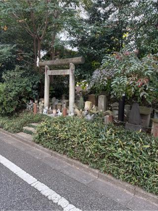 稲荷・庚申塔・馬頭観音の参拝記録(⛩️🐍🐢まめ🐢🐍⛩️さん)