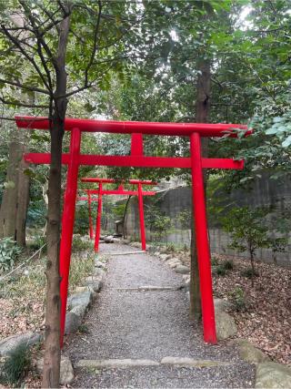 金毘羅大権現（氷川神社境内社）の参拝記録(⛩️🐍🐢まめ🐢🐍⛩️さん)