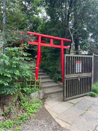 金毘羅大権現（氷川神社境内社）の参拝記録(⛩️🐍🐢まめ🐢🐍⛩️さん)