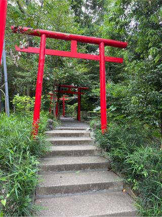 金毘羅大権現（氷川神社境内社）の参拝記録(⛩️🐍🐢まめ🐢🐍⛩️さん)