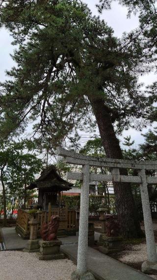 恵美須社(賣布神社 境内社)の参拝記録(Roseさん)