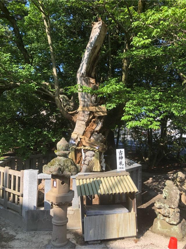 白潟地主荒神社(賣布神社 境内社)の参拝記録5