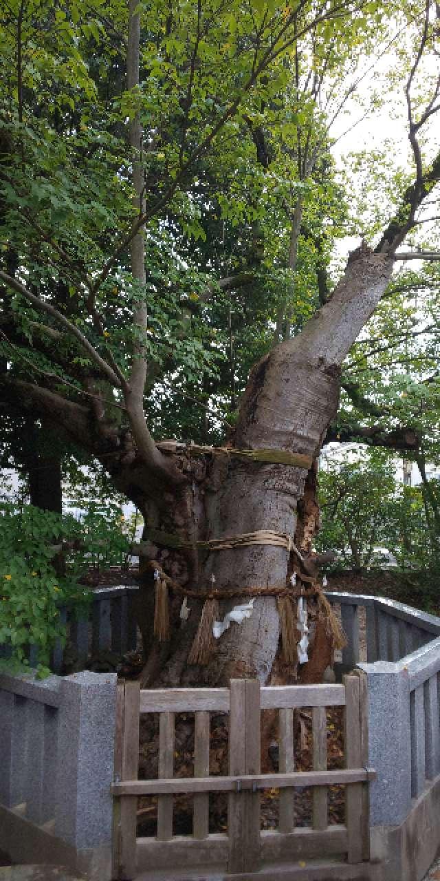 白潟地主荒神社(賣布神社 境内社)の参拝記録4