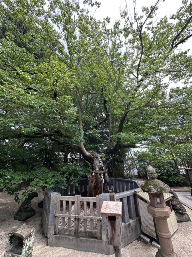 白潟地主荒神社(賣布神社 境内社)の参拝記録2