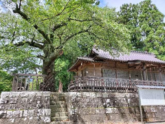 鷲神社の参拝記録1