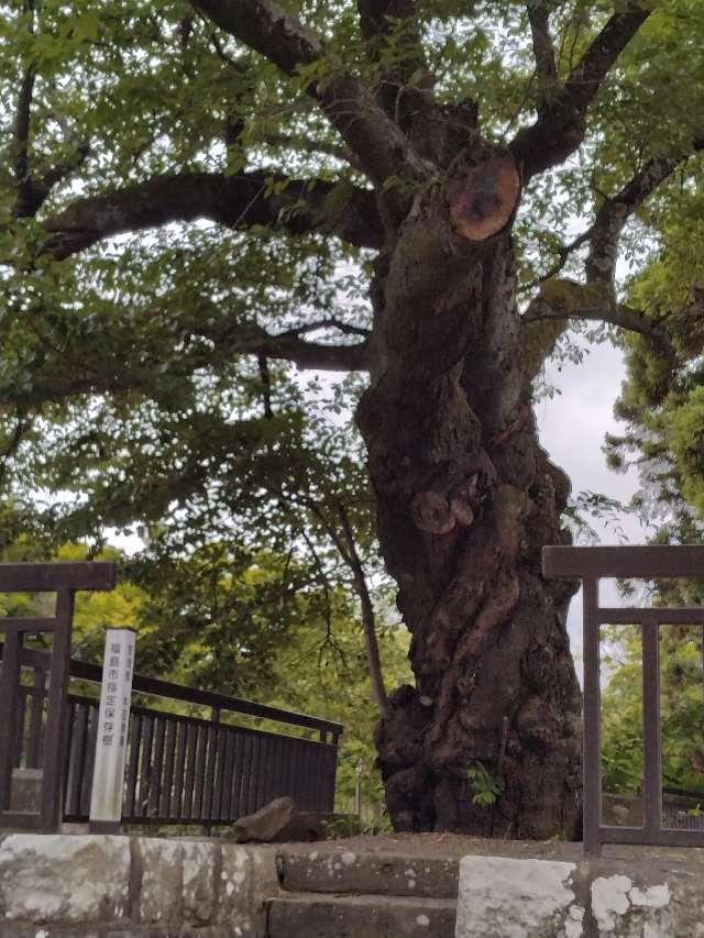 福島県福島市町庭坂宮下6 鷲神社の写真2