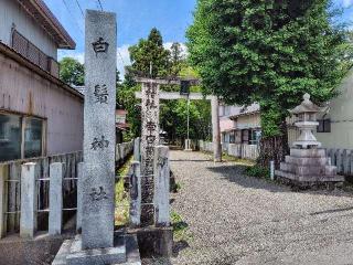 白鬚神社の参拝記録(ロビンさん)