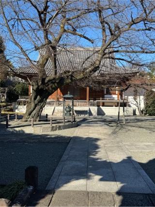 智清寺の参拝記録(こーちんさん)