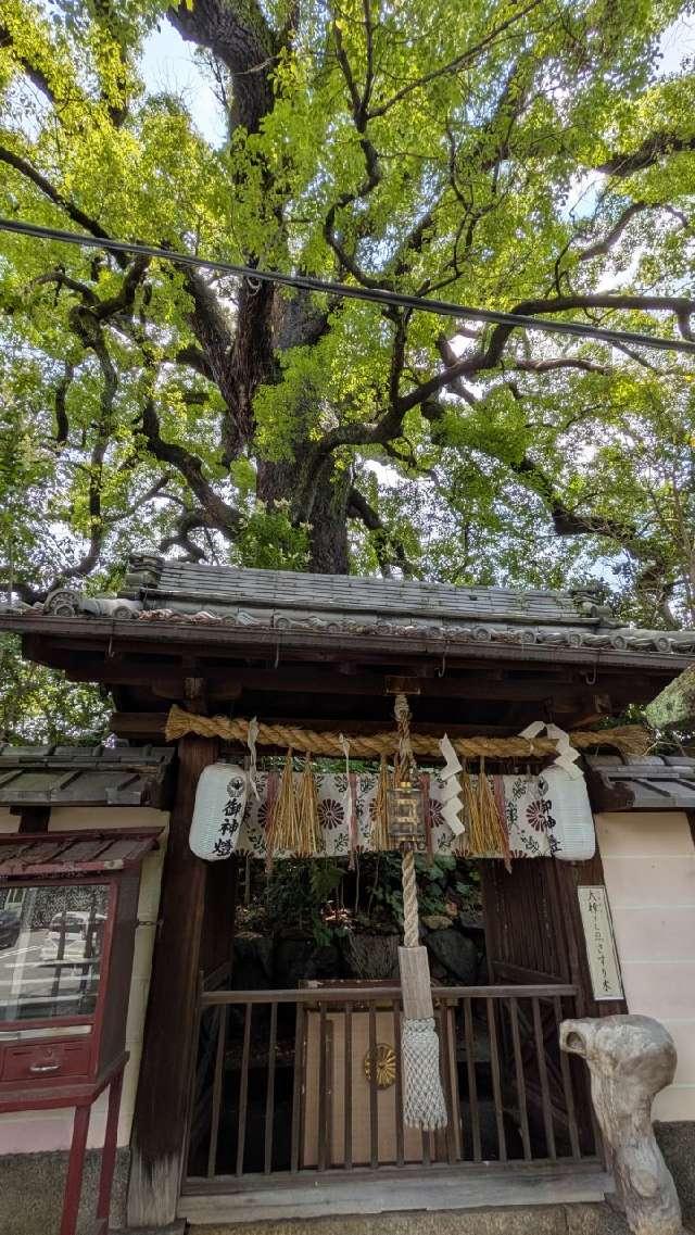 楠社（新熊野神社）の参拝記録1