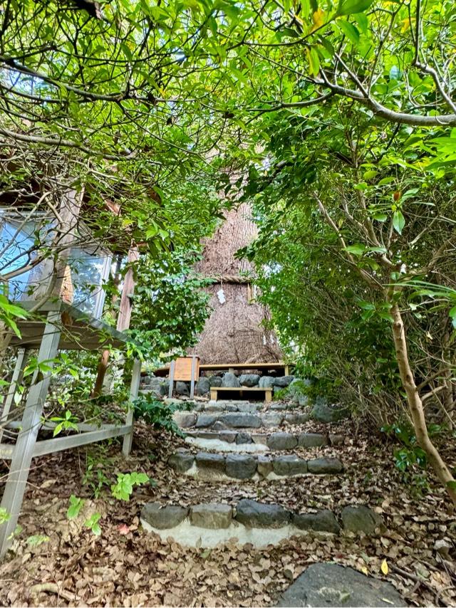 楠社（新熊野神社）の参拝記録1