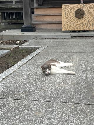 九郎左衛門新田稲荷神社の参拝記録(ねこチャリさん)