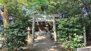 大鷲神社(小金井神社)の参拝記録(オトギリルさん)