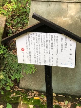 大鷲神社(小金井神社)の参拝記録(こーちんさん)