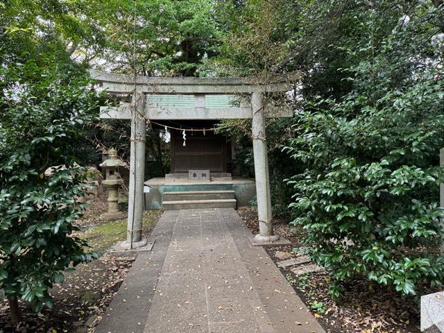 大鷲神社(小金井神社)の参拝記録7