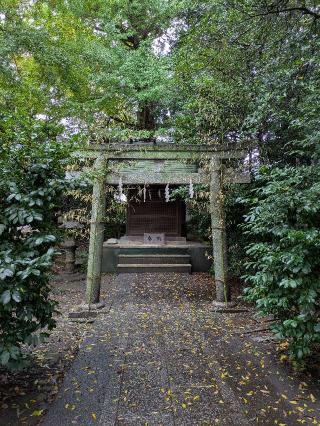 大鷲神社(小金井神社)の参拝記録(はくすみさん)