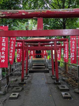山王稲荷大明神(山王稲穂神社)の参拝記録(はくすみさん)